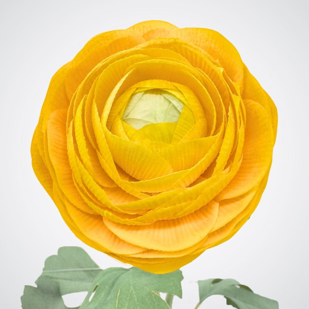 Yellow fake ranunculus with green leaves on a white background from My Faux Florist Canada