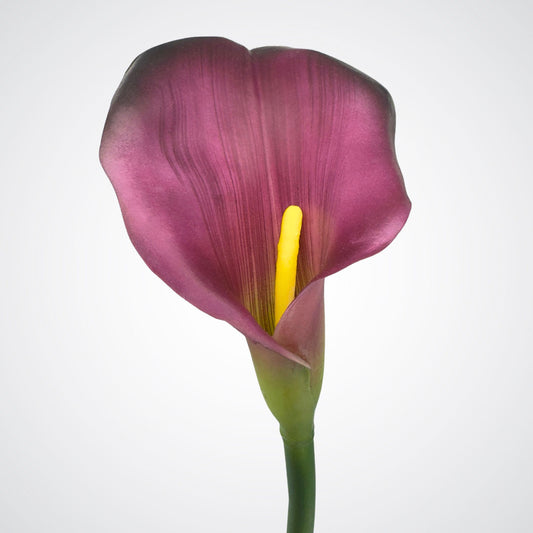 Close up view of the bloom of a deep purple realistic faux calla lily with yellow stamen, made by Real Touch, from My Faux Florist Canada