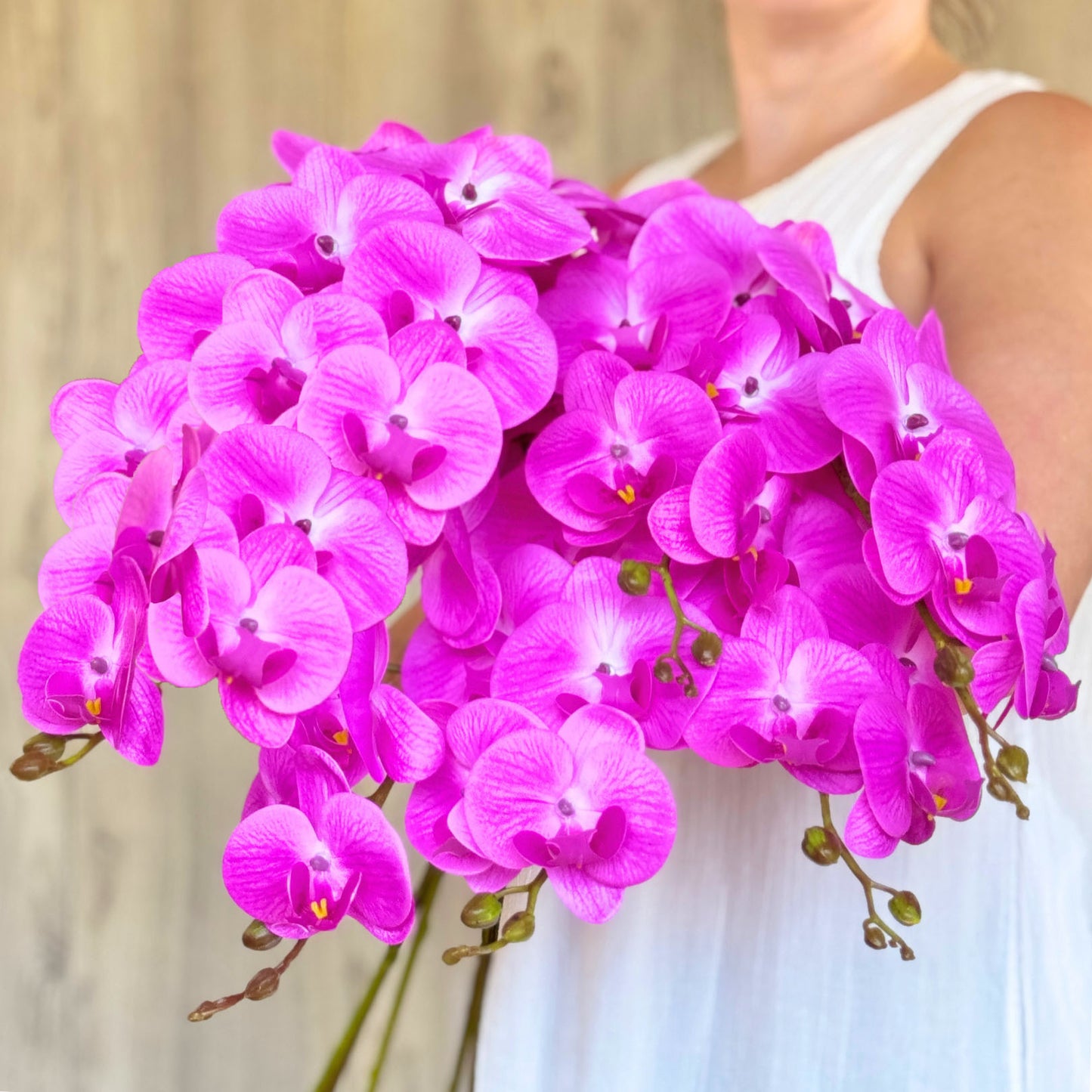 Fuchsia Orchid