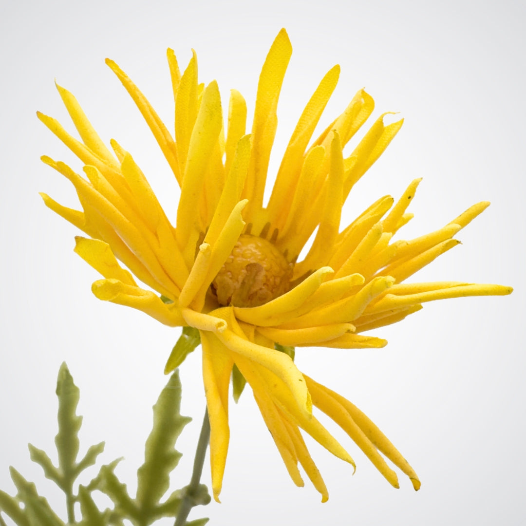 Yellow Artificial Daisies