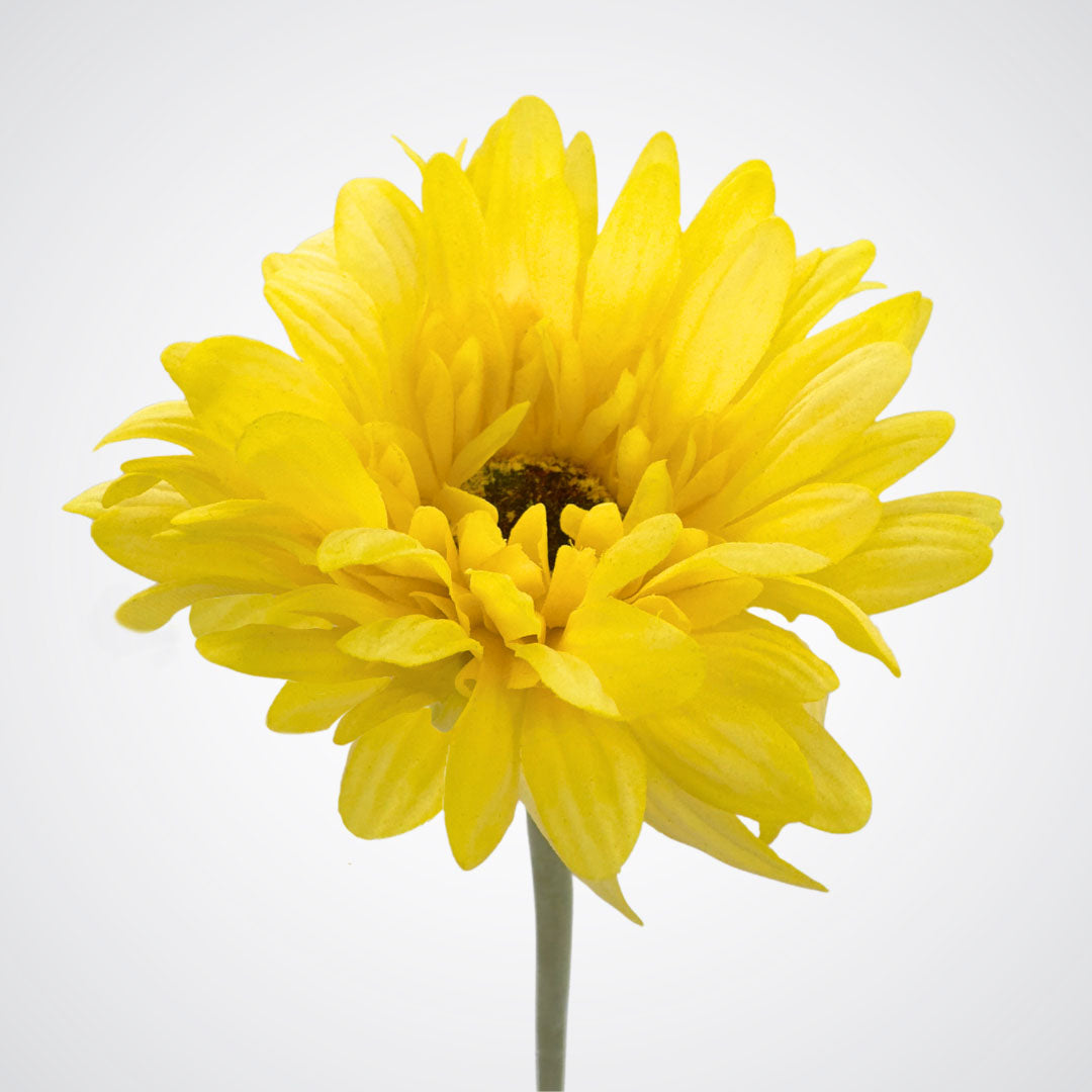 Yellow Artificial Gerbera Daisies