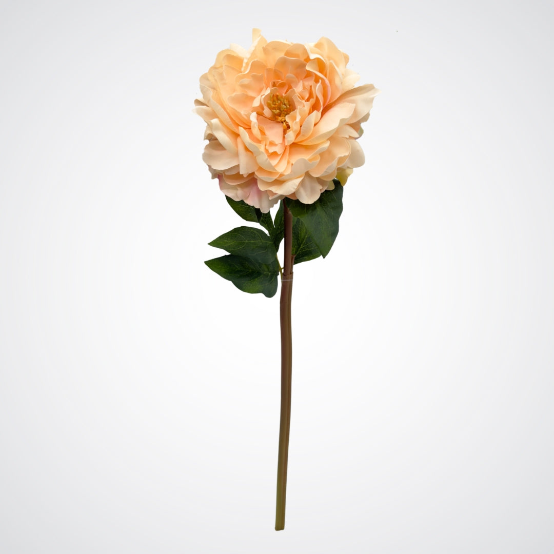 Single artificial flower on white background. Full length view of lifelike champagne-peach artificial peony with realistic open bloom.