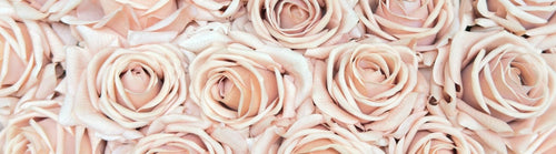 Pattern of antique pink fake roses with a soft focus effect and Real Touch petals by My Faux Florist artificial flowers Canada.