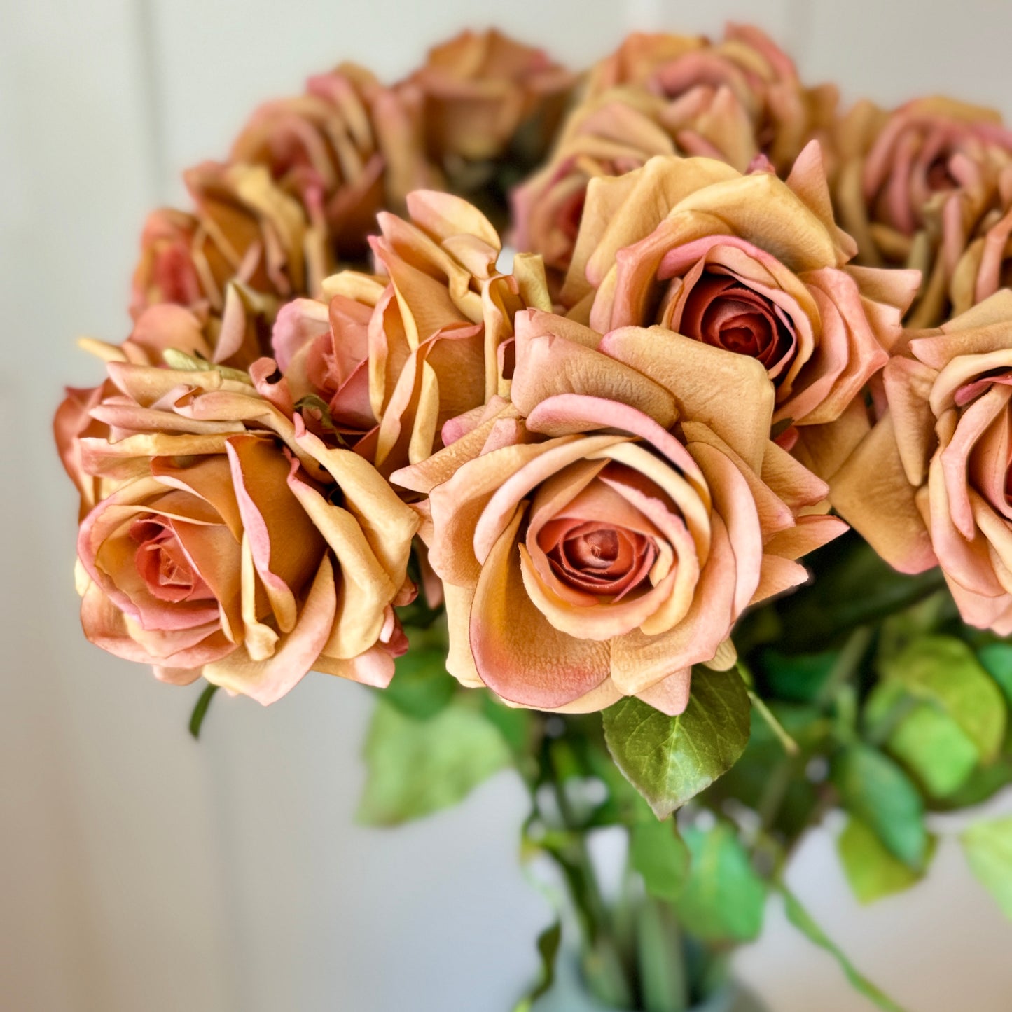 Pumpkin Spice Rose