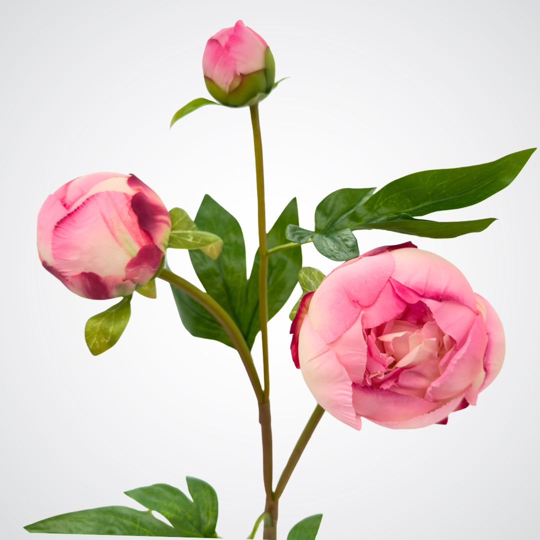 Pink Artificial Peony Spray