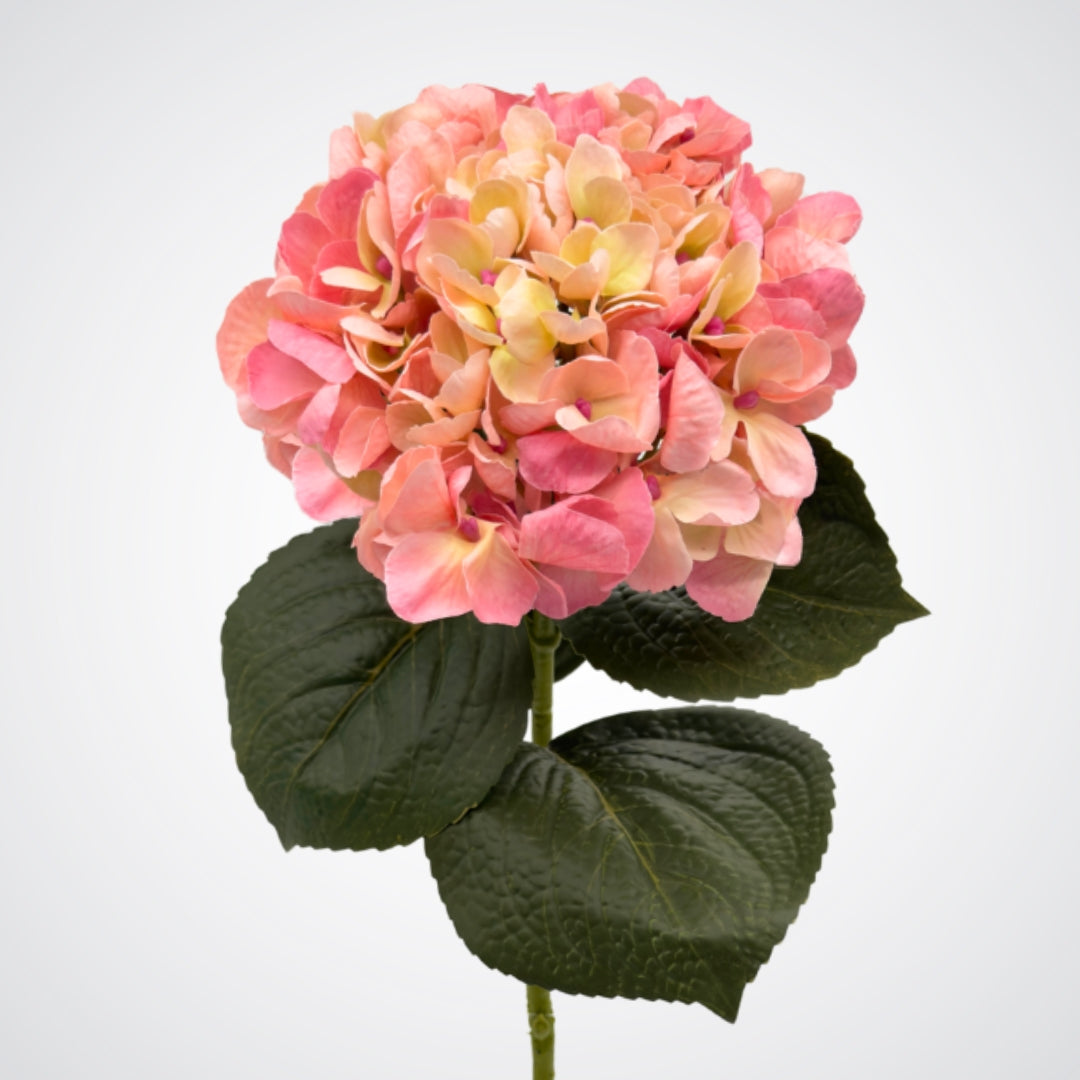 Pink and yellow faux hydrangea flower with green leaves on a white background from My Faux Florist Canada