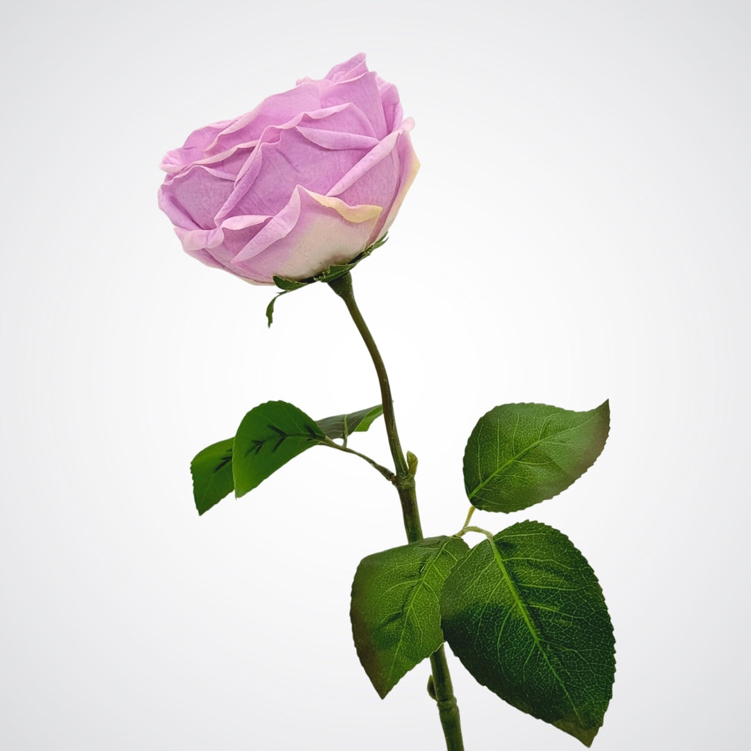 Side view of an Austin style artificial rose in a lilac lavender colour with realistic Real Touch petals, from My Faux Florist artificial flowers Canada.