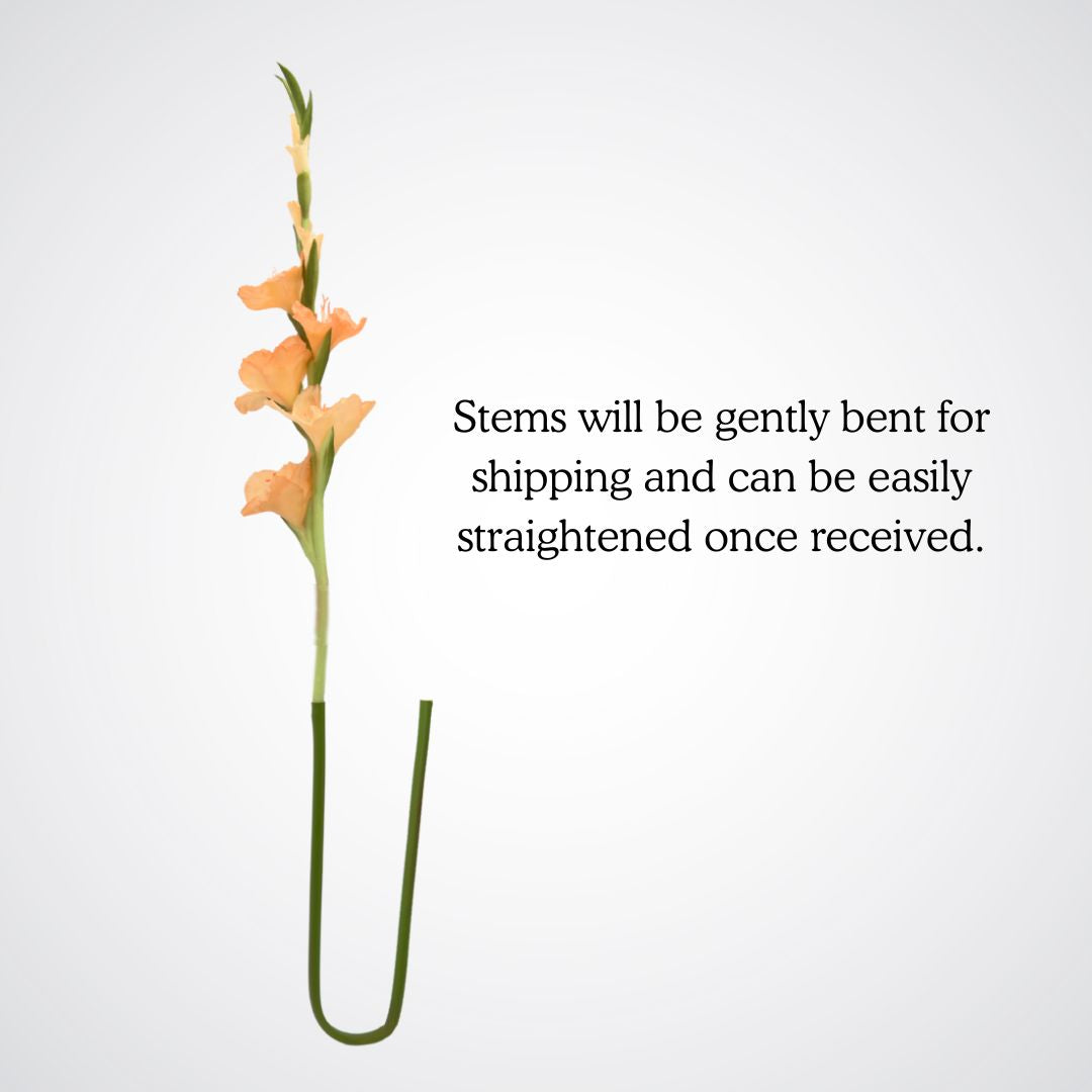 Full bent peach artificial gladiolus flowers from My Faux Florist Canada