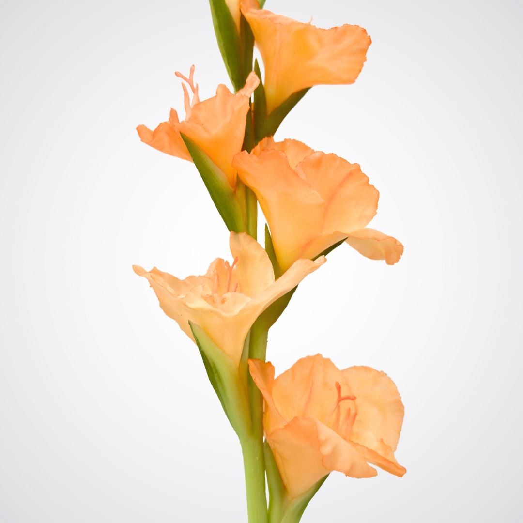 Peach Artificial Gladiolus