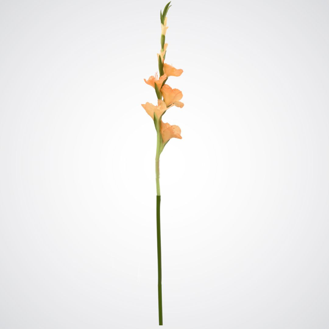 Peach Artificial Gladiolus