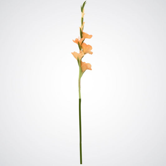 Tall full length peach artificial gladiolus flowers from My Faux Florist Canada