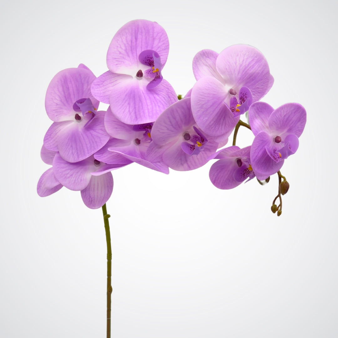 Photo of purple artificial orchid flowers from My Faux Florist Canada.