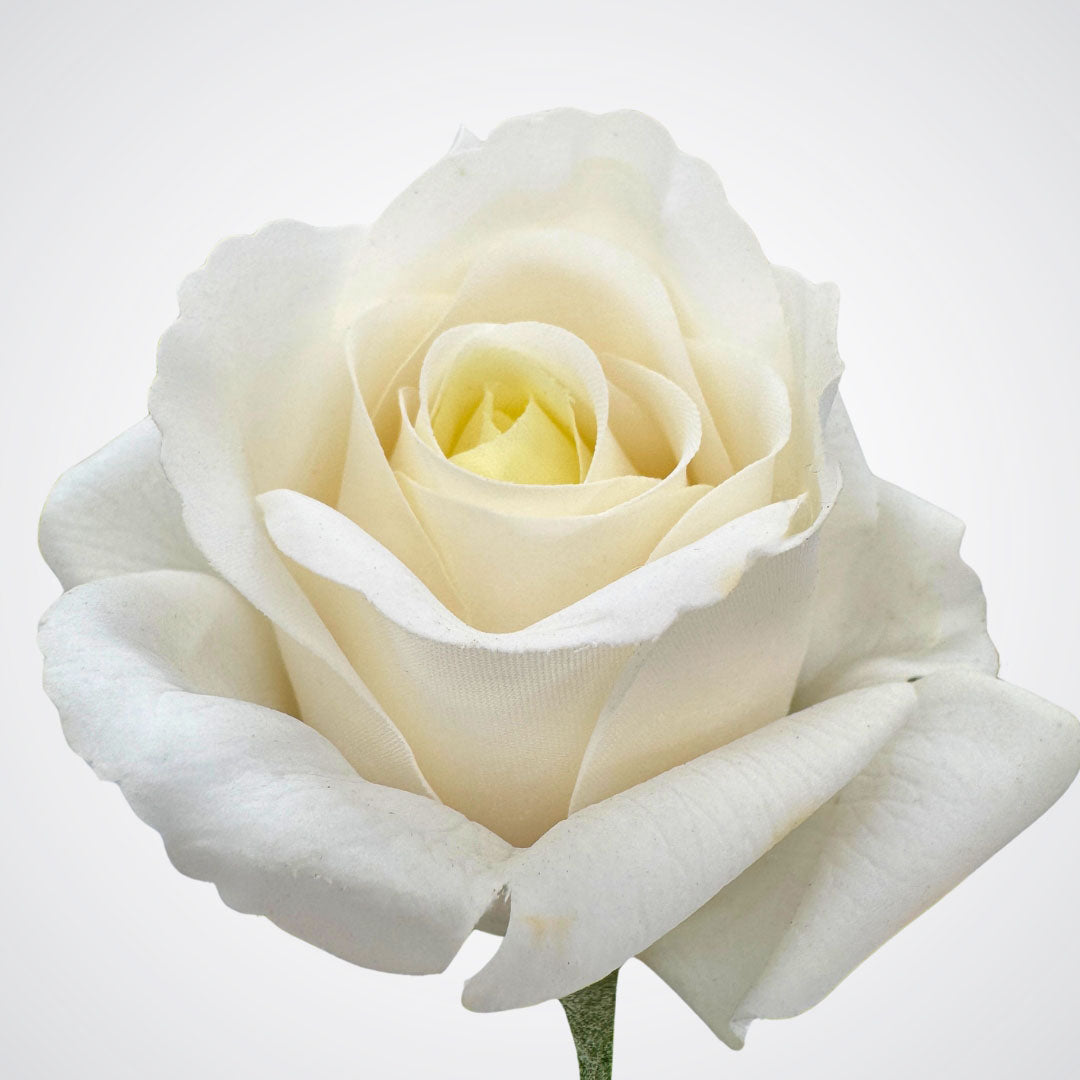White Artificial Rose Spray