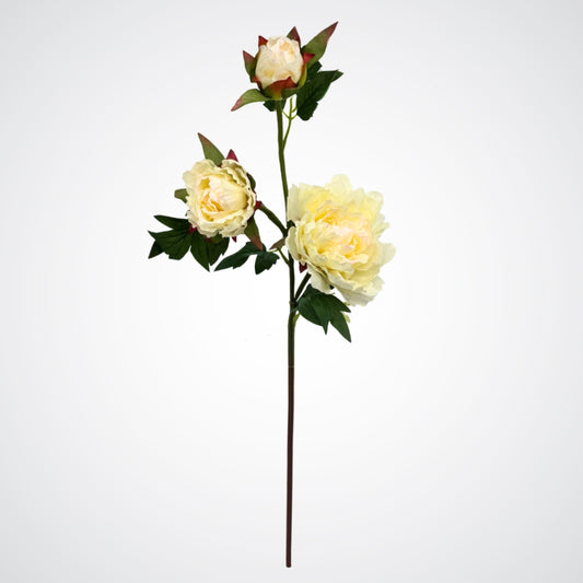 Single faux peony spray stem with multiple blooms in various stages of opening, by Faux Florist Canada
