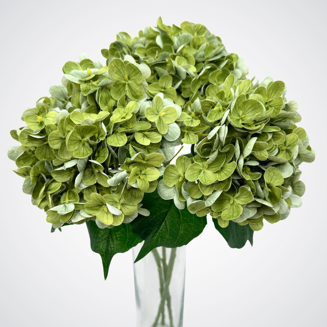 Clear vase full of several artificial hydrangea in an antique green colour with realistic Real Touch petals and detailing, from My Faux Florist artificial flowers Canada.