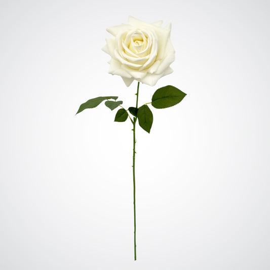 Single white artificial tea rose stem with long green stem against white background
