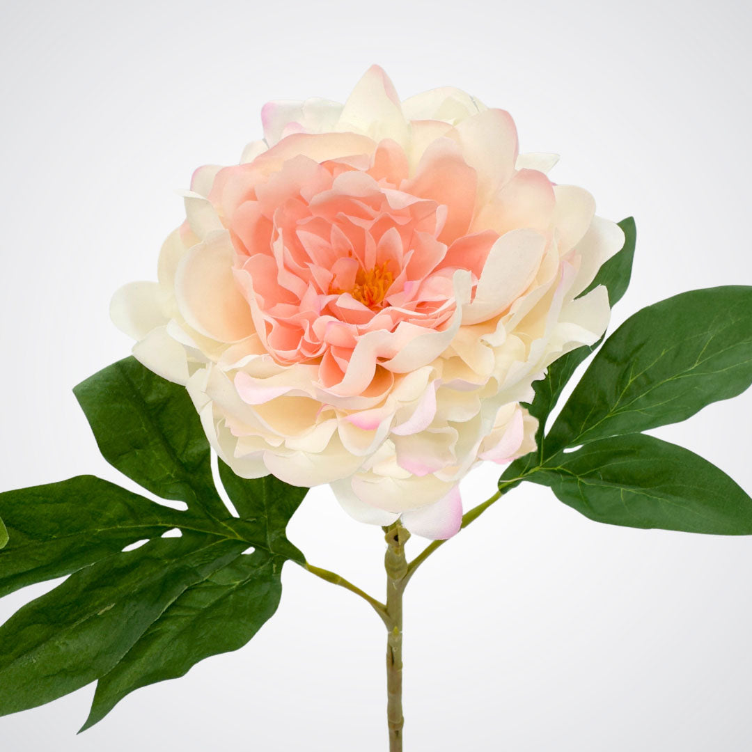 Close up of a blush artificial peony Real Touch flower from My Faux Florist Canada.