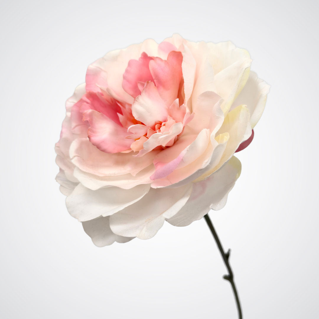 Close up of a silk peony bloom in white and pink, by My Faux Florist artificial flowers Canada.