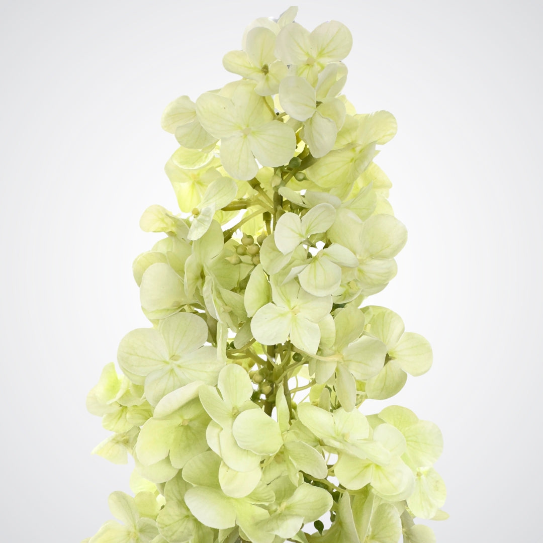 Close up of Real Touch pale green artificial hydrangea flower from My Faux Florist Canada.