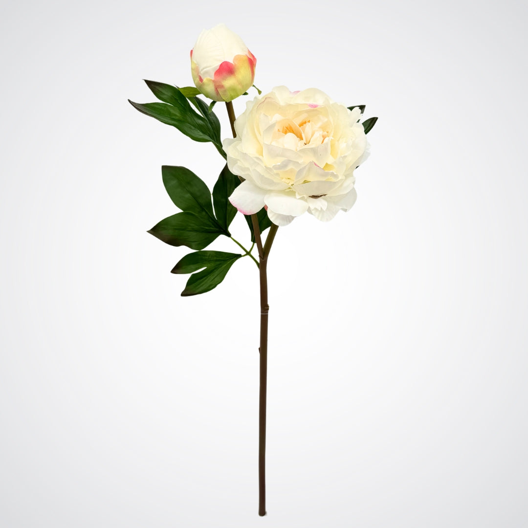 Single ivory artificial peony spray with bud against a white background