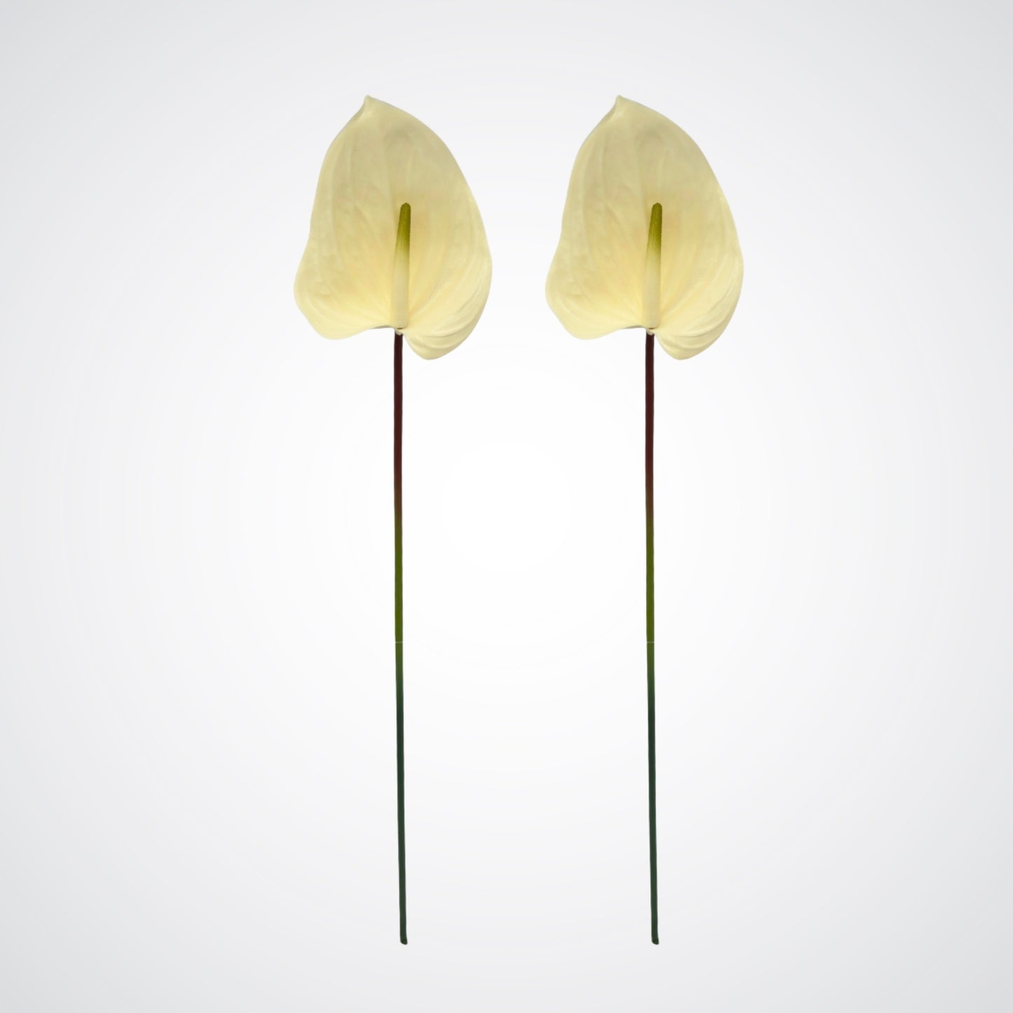 Artificial Peace Lilies