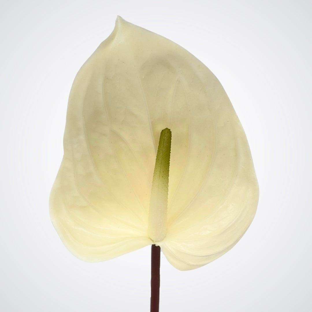 Artificial Peace Lilies