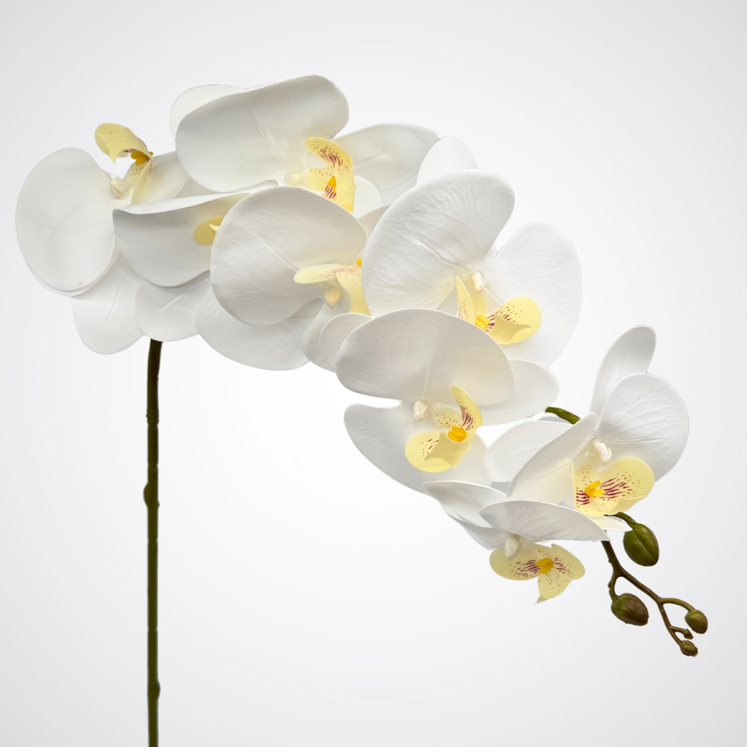 white artificial orchid stem on white background from My Faux Florist Canada..