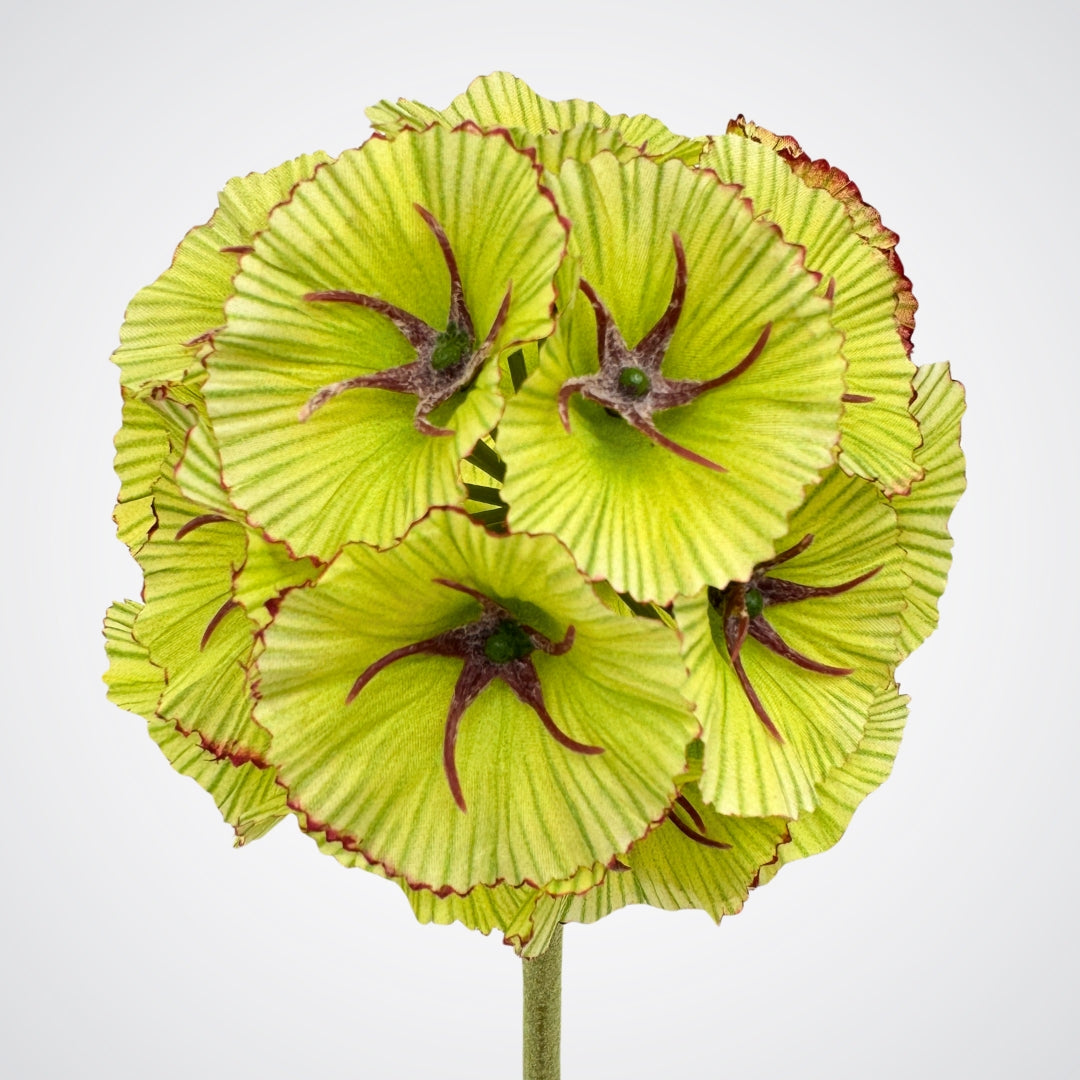 Artificial Scabiosa