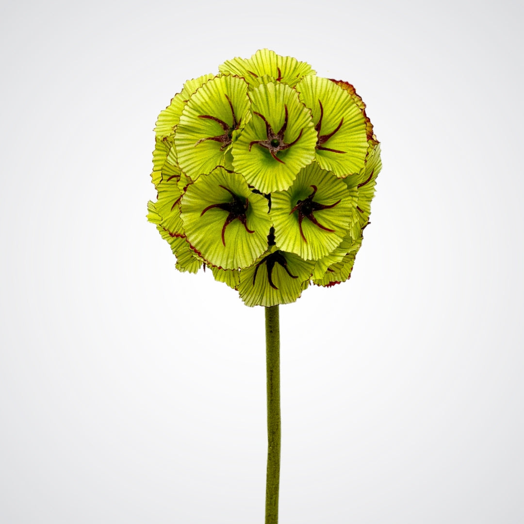 Close up of bright green artificial scabiosa flower from My Faux Florist Canada.