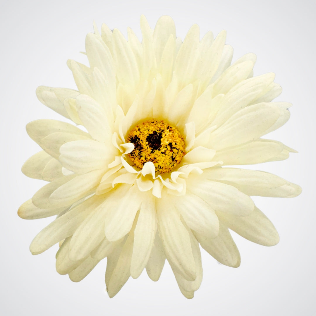 White Artificial Gerbera Daisies