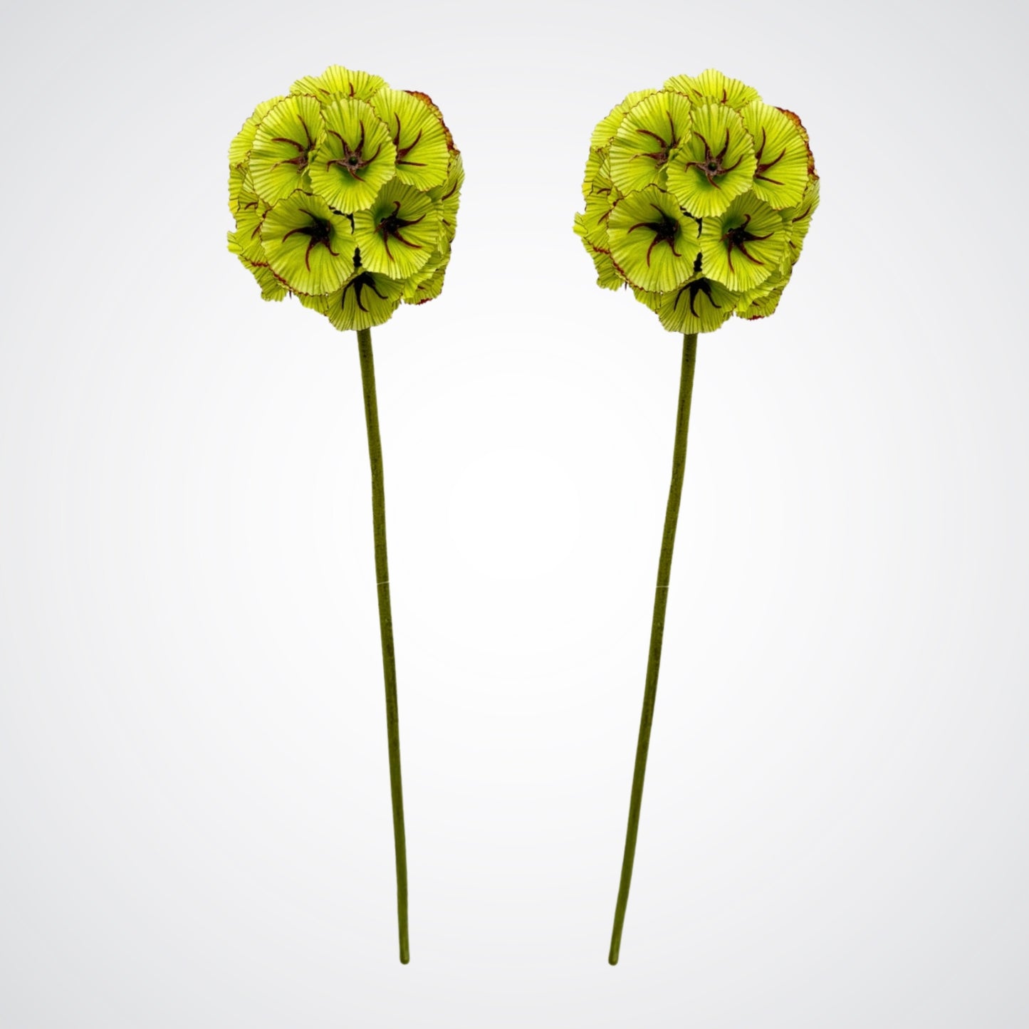 Artificial Scabiosa