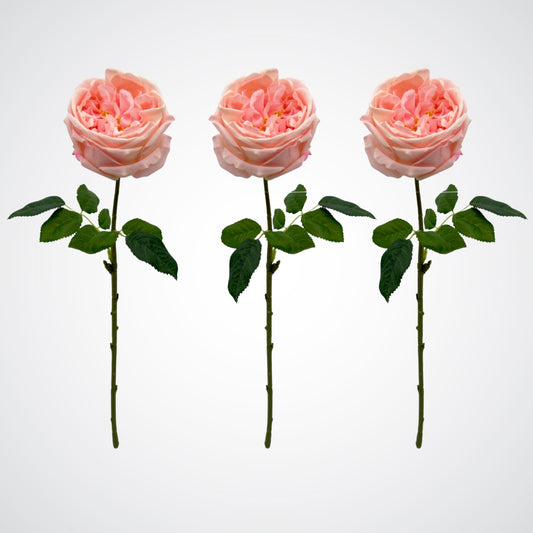 Trio of Austin style artificial roses in a light pink colour with realistic Real Touch petals, from My Faux Florist artificial flowers Canada.