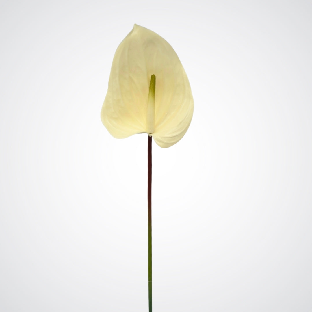 Single faux peace lily stem with modern, minimalist bloom