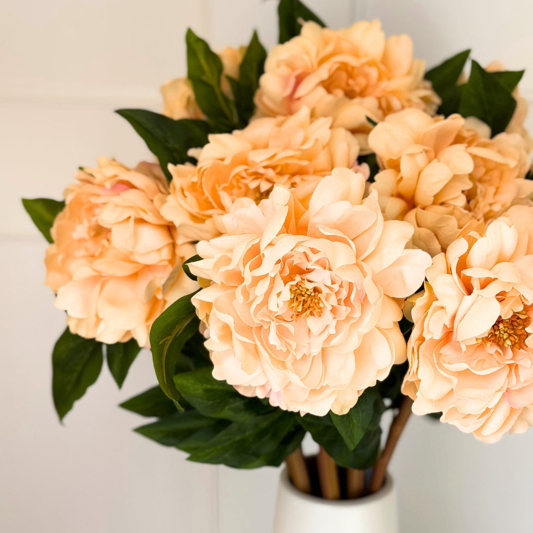 Vase full of artificial flowers Canada. Multiple soft champagne-peach realistic artificial peonies displayed in a white vase. Fake flowers have Real Touch petals softly lit.