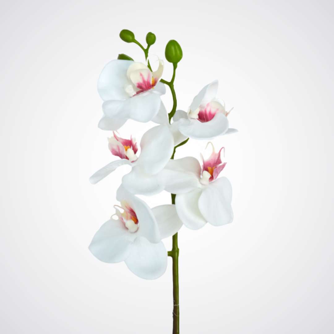 realistic white and pink Real Touch orchid from My Faux Florist Canada