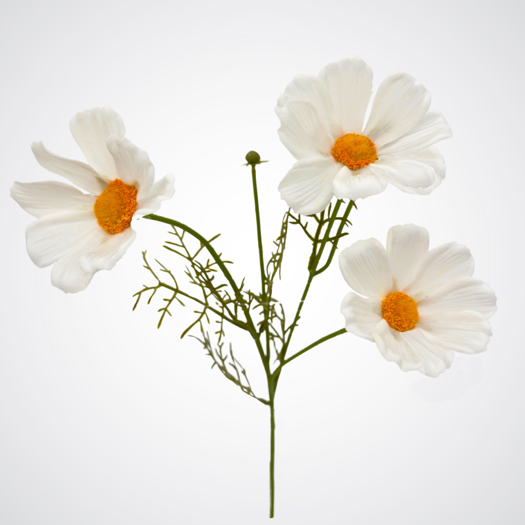 White faux cosmos stem arranged to show bloom detail and flexible green stem