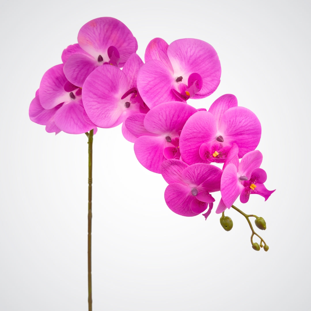 Pink fake orchid flowers on a white background from My Faux Florist Canada
