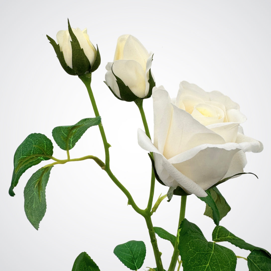 White fake rose with buds on a white background