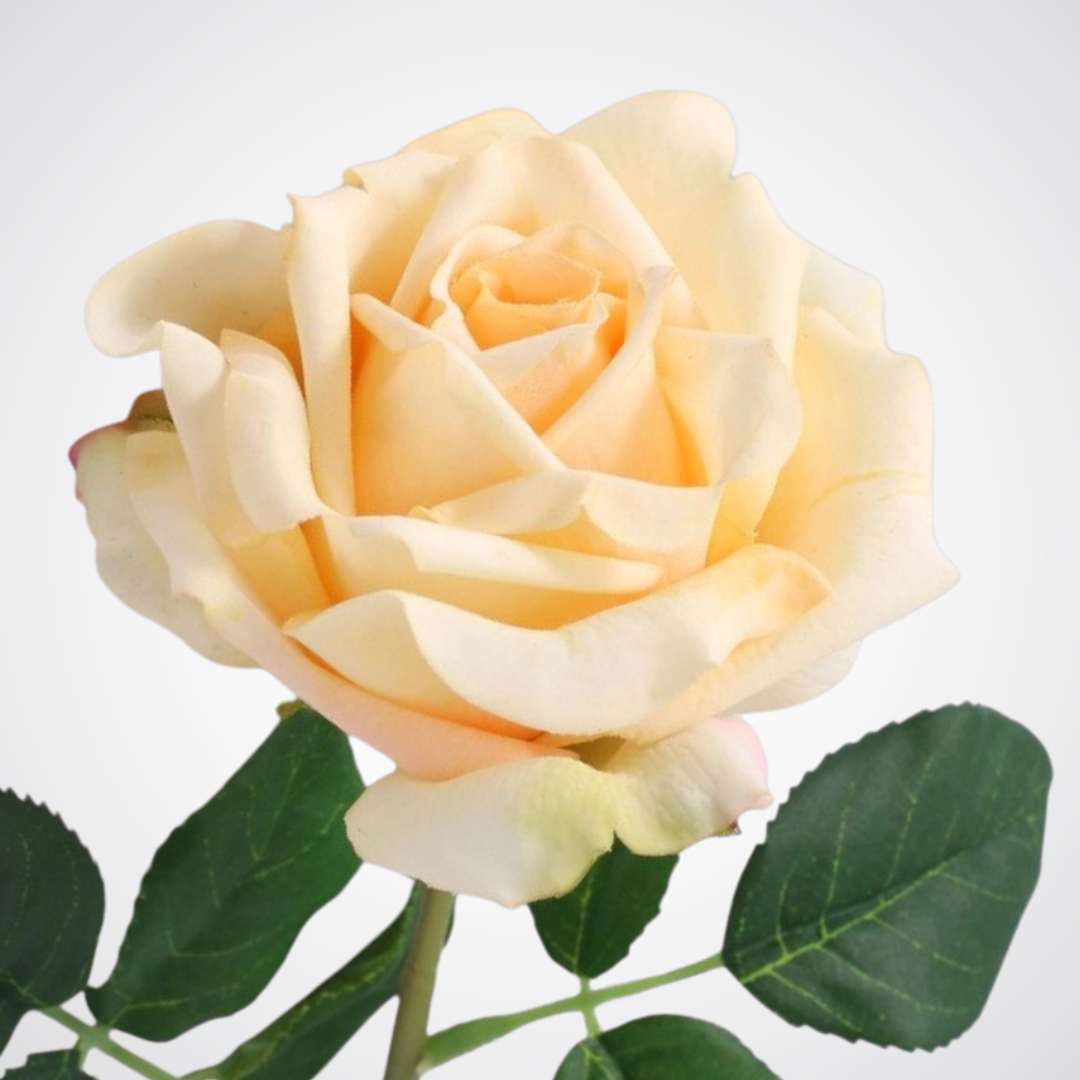 realistic champagne peach artificial rose from My Faux Florist Canada