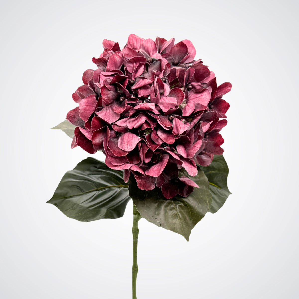 A single realistic artificial hydrangea flower with deep burgundy-pink petals and dark green leaves on a light gray background. From My Faux Florist Canada.