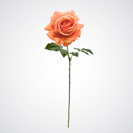 Light Orange Real Touch Rose