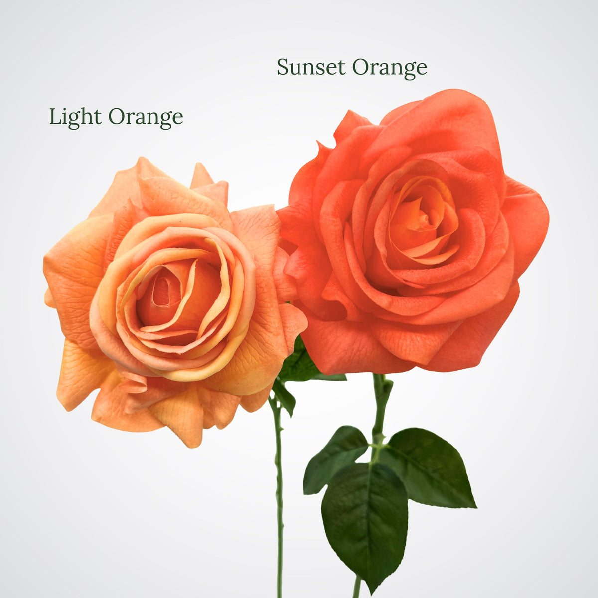 Light Orange Real Touch Rose