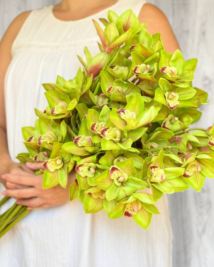 Person in a white dress holding a large bouquet of green artificial orchids with pink centers from My Faux Florist.