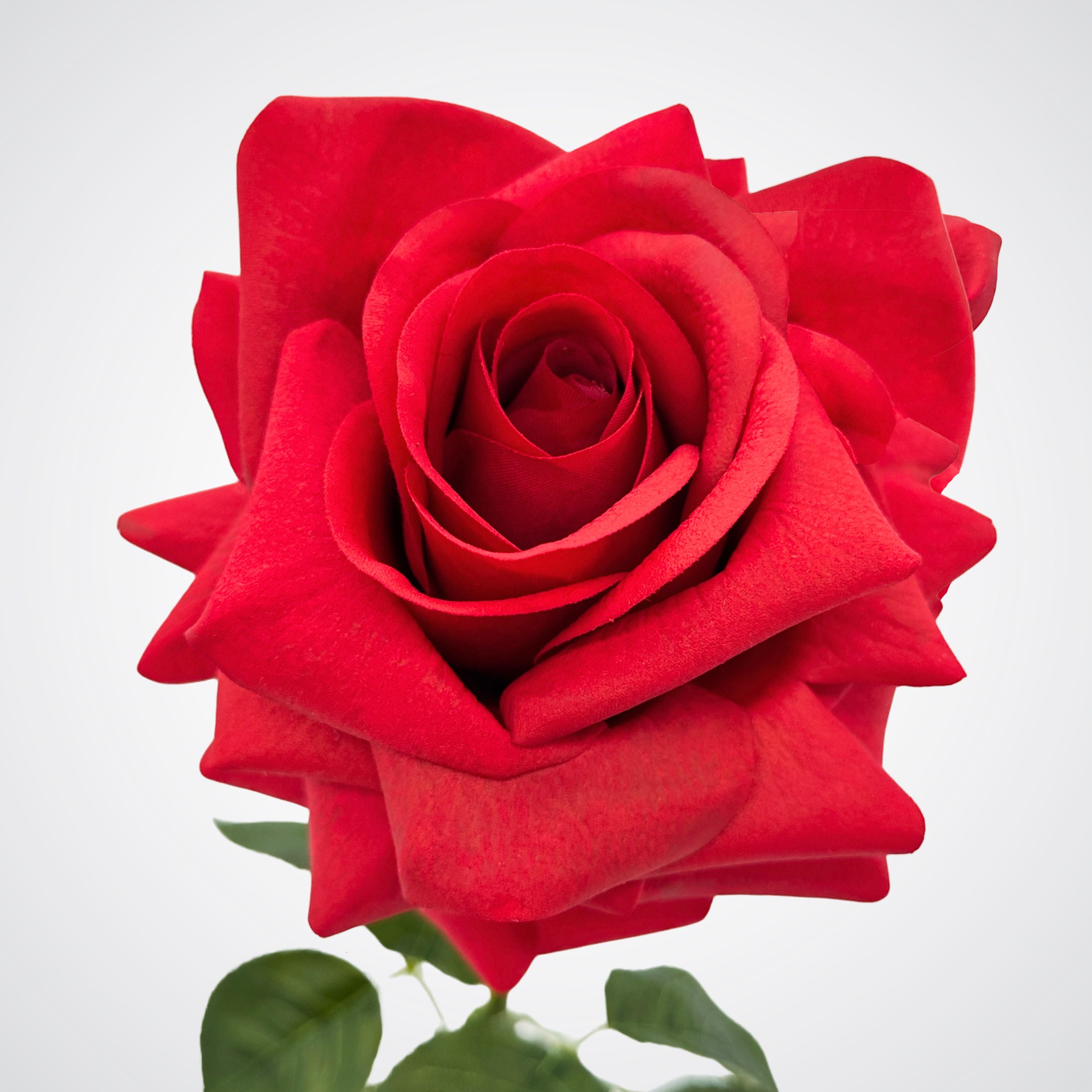 Classic Red | Single Real Touch artificial roses for Valentine's Day by My Faux Florist Canada