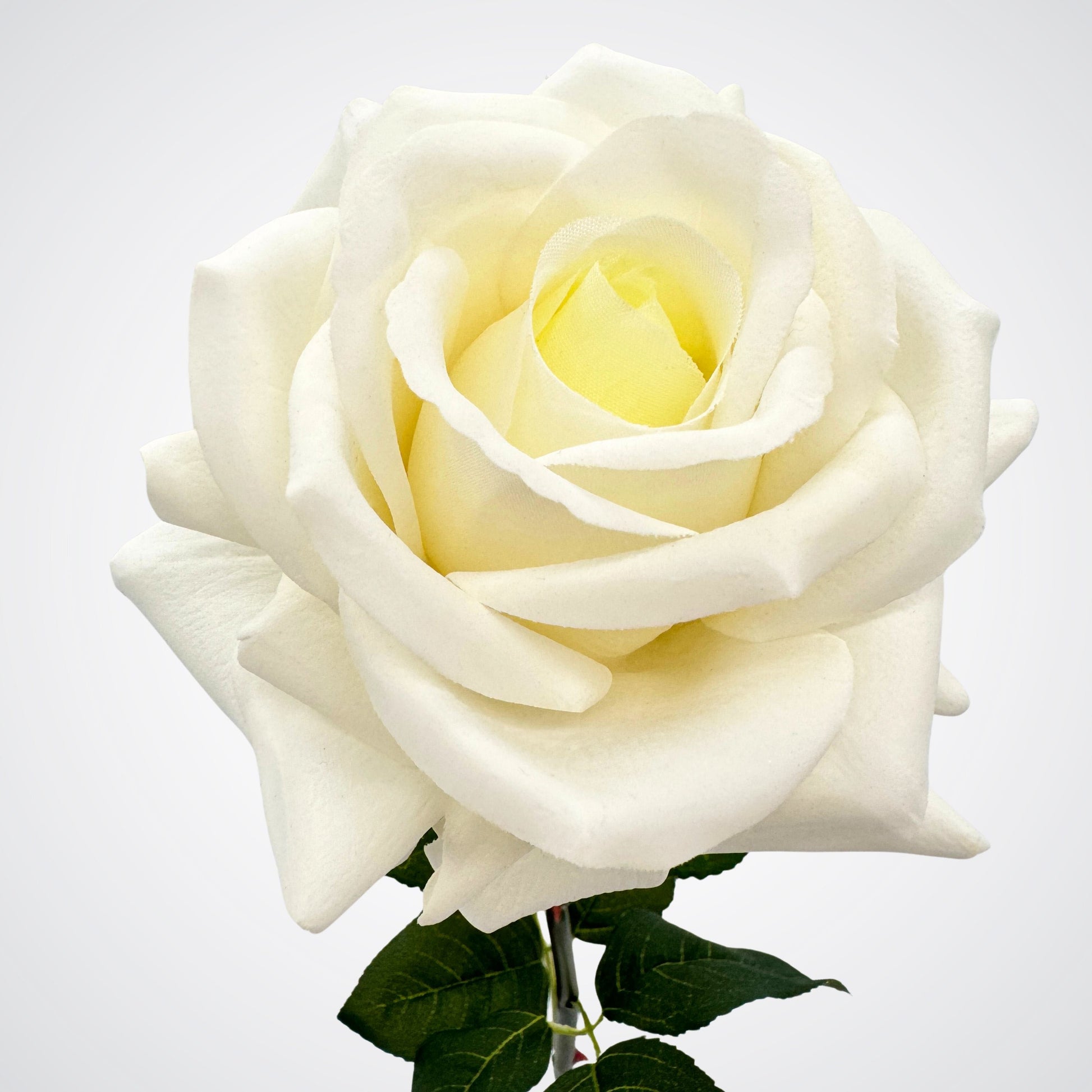 White | Single Real Touch artificial roses for Valentine's Day by My Faux Florist Canada