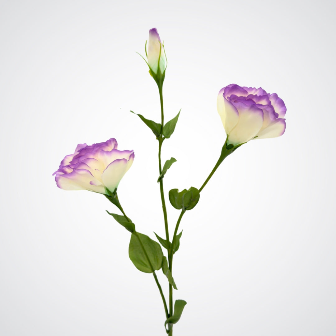 Two purple and white fake flowers Canada on a white background