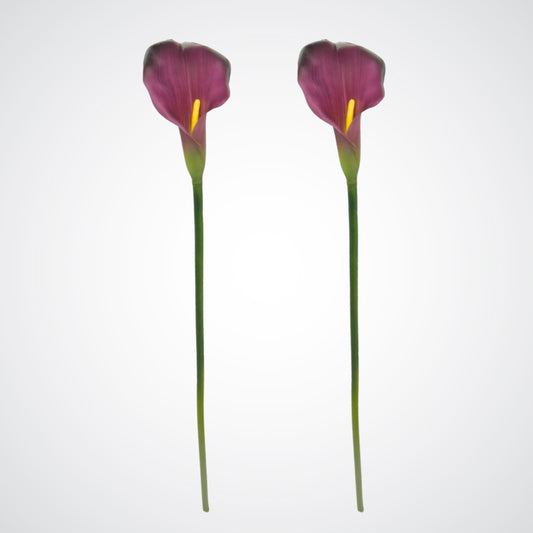 Purple Calla Lilies