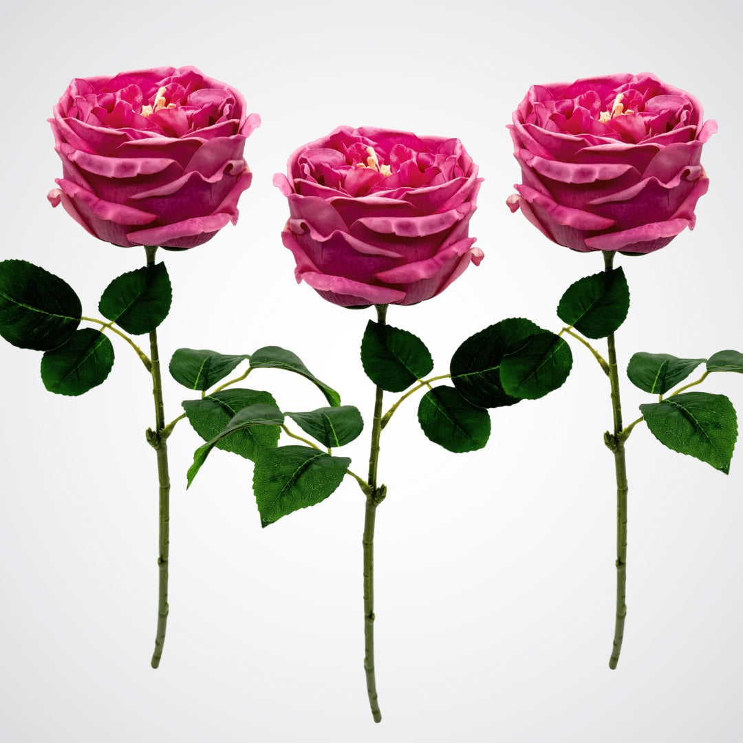 A trio of full length dark pink Austin rose style artificial roses with green leaves and Real Touch petals, by My Faux Florist Canada