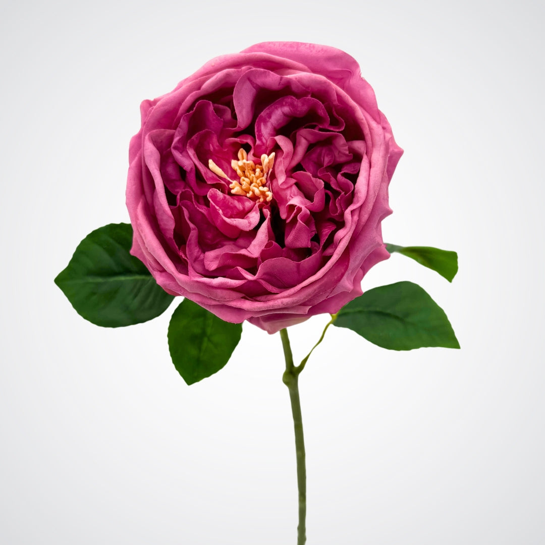 View of a single flower bloom on a dark pink Austin rose style artificial roses with green leaves and Real Touch petals, by My Faux Florist Canada
