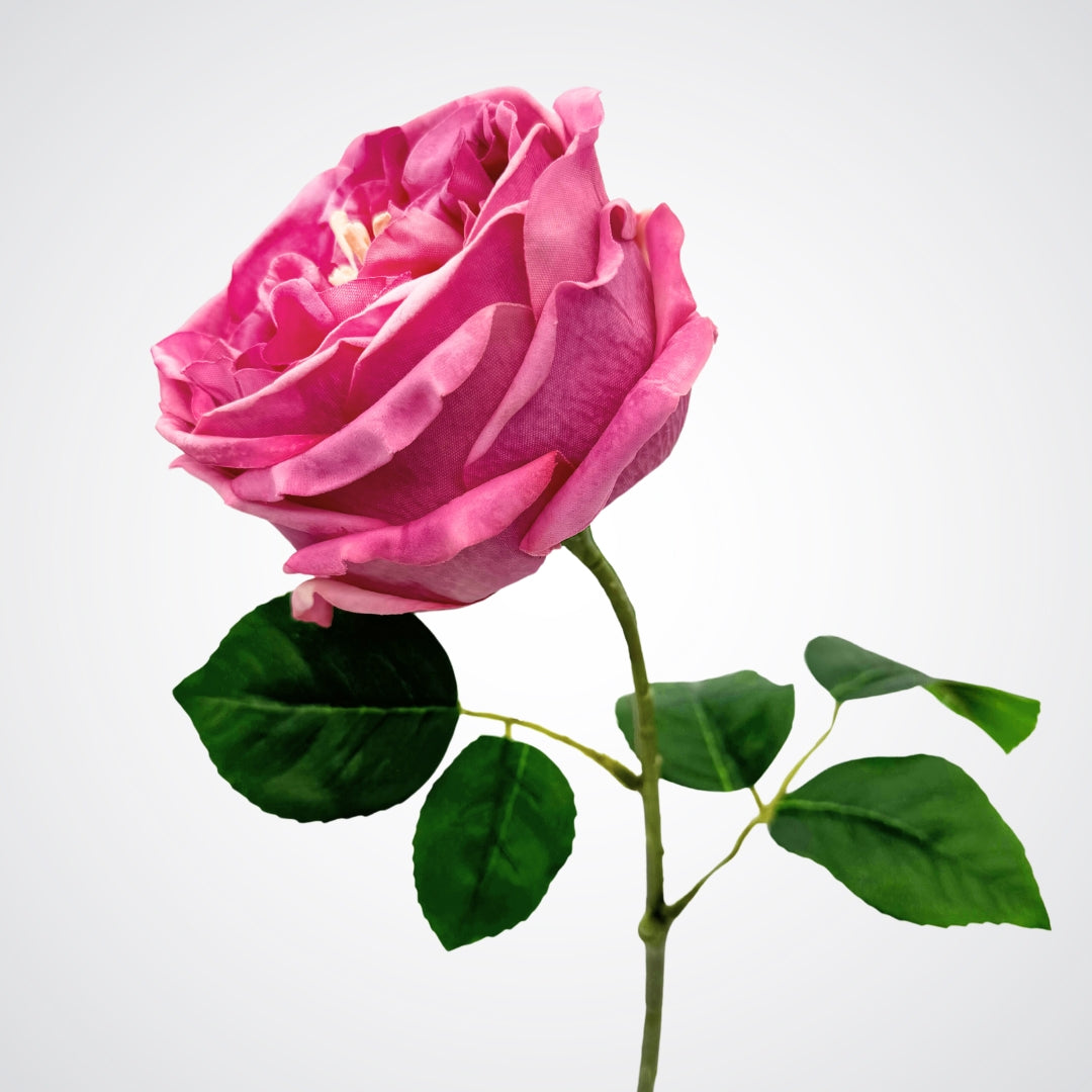 Side view of a a dark pink Austin rose style artificial rose with green leaves and Real Touch petals, by My Faux Florist Canada